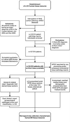 Improving the Diagnosis of Endometrial Hyperplasia Using Computerized Analysis and Immunohistochemical Biomarkers